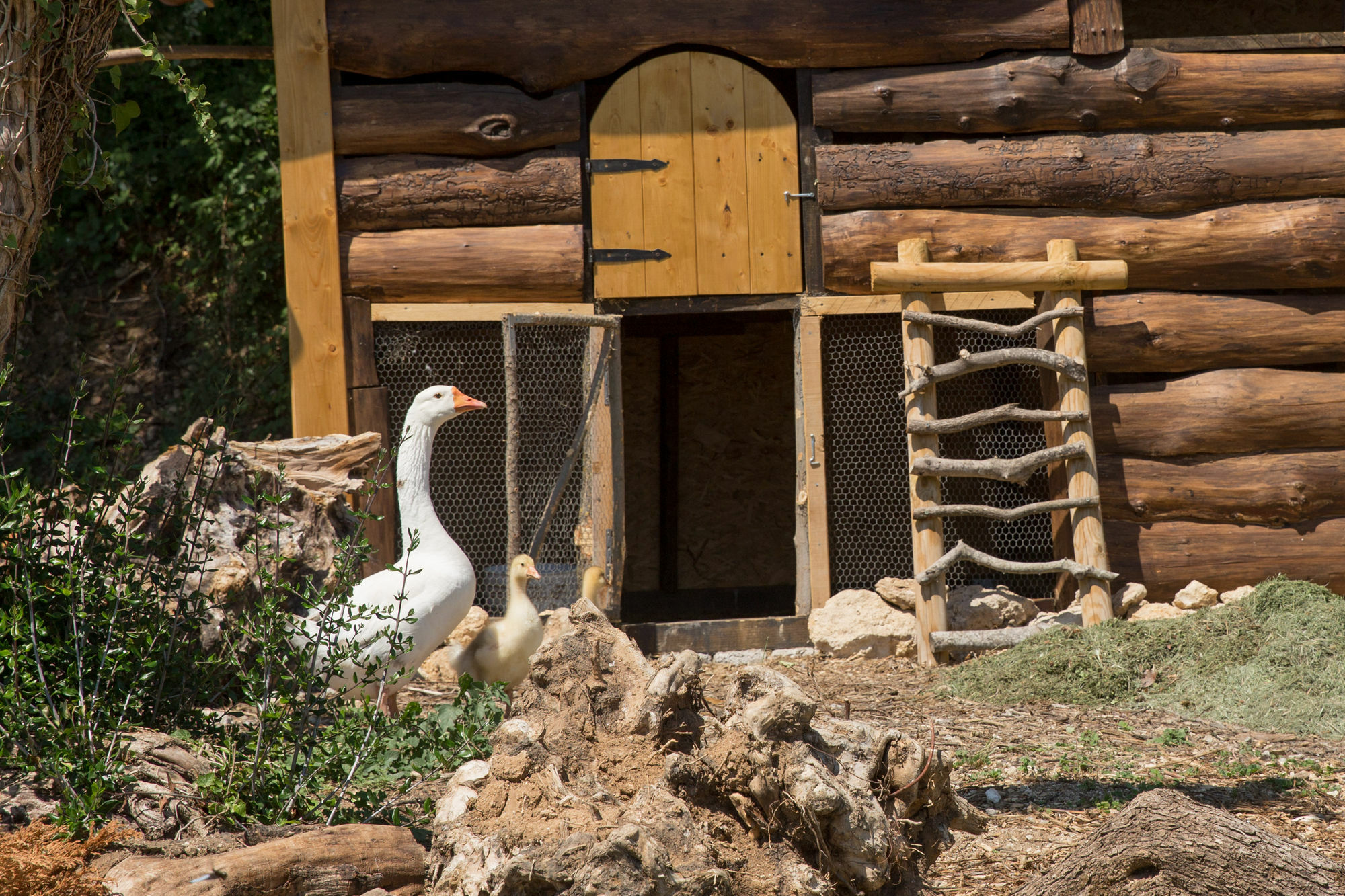 Agriturismo Le Anfore ซาร์เตอาโน ภายนอก รูปภาพ
